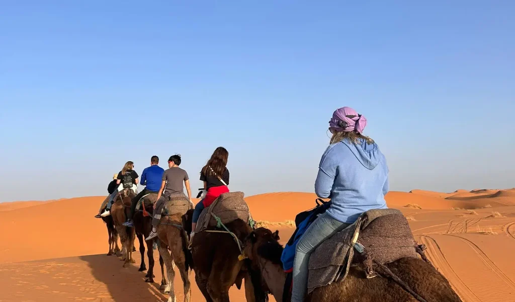 Ruta camellos